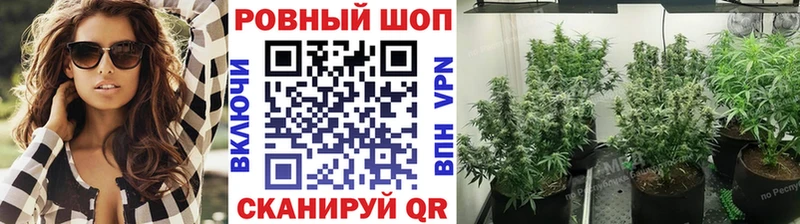 Где продают наркотики Якутск Галлюциногенные грибы  Cocaine  КЕТАМИН  Бошки Шишки  Гашиш  Меф мяу мяу 