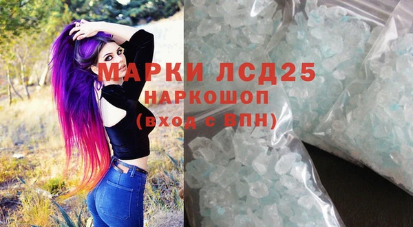 прущие грибы Абинск