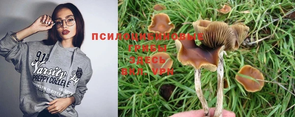 эйфоретик Алексеевка