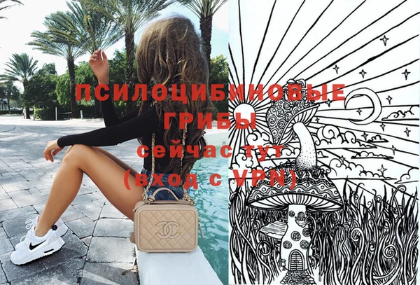 прущие грибы Абинск