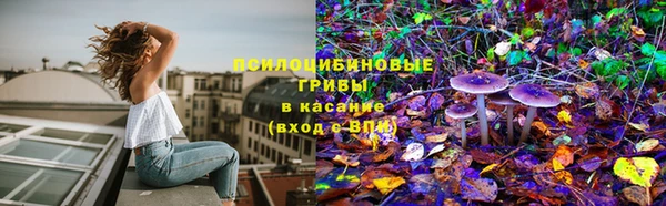 прущая мука Абаза