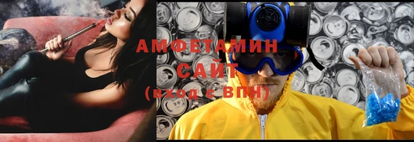 прущие грибы Абинск